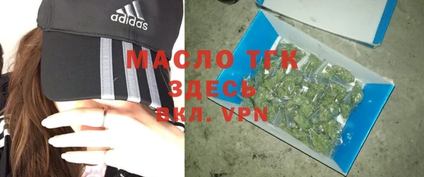 индика Горнозаводск