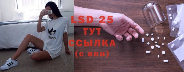 индика Горнозаводск