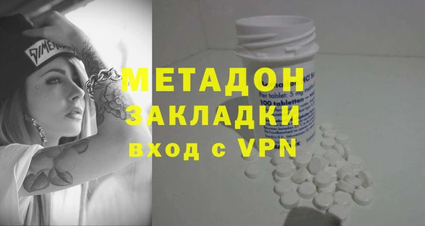 индика Горнозаводск
