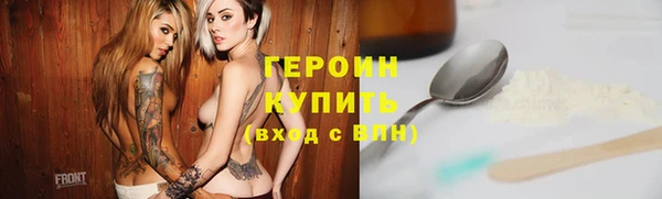 индика Горнозаводск