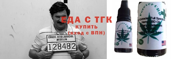 индика Горнозаводск