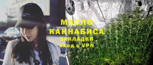 индика Горнозаводск