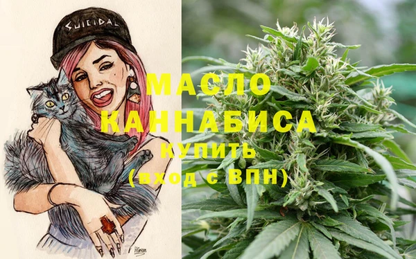 индика Горнозаводск