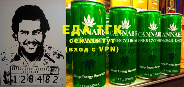 индика Горнозаводск