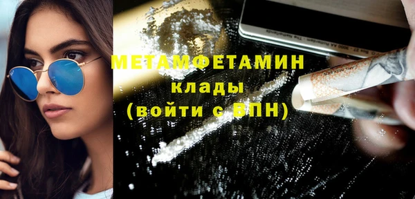 индика Горнозаводск