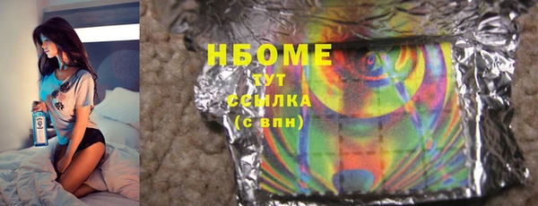 индика Горнозаводск