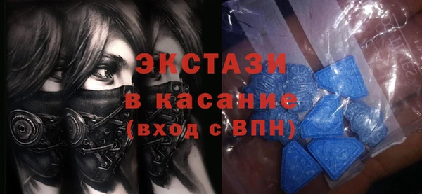 индика Горнозаводск