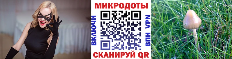 Галлюциногенные грибы MAGIC MUSHROOMS  даркнет сайт  Тюмень 